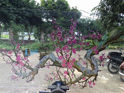 TRANH KÍNH ĐÀO MAI 